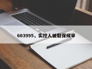 603995，实控人被取保候审