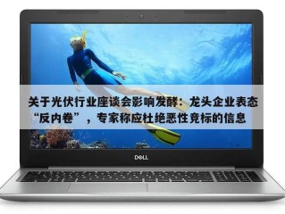 关于光伏行业座谈会影响发酵：龙头企业表态“反内卷”，专家称应杜绝恶性竞标的信息