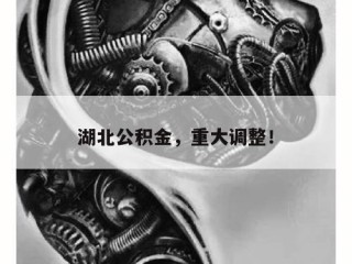 湖北公积金，重大调整！